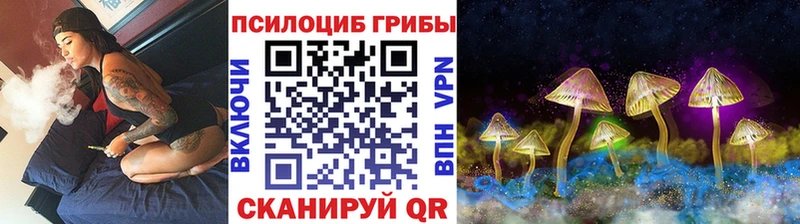 Псилоцибиновые грибы прущие грибы Приозерск