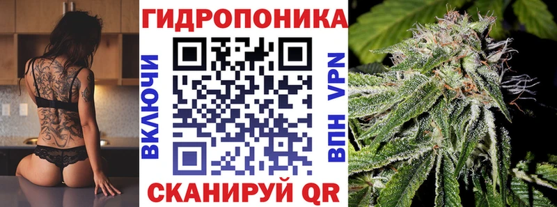 Бошки Шишки MAZAR Приозерск
